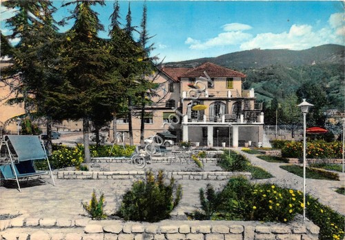 Cartolina spinone villa - spinone,
