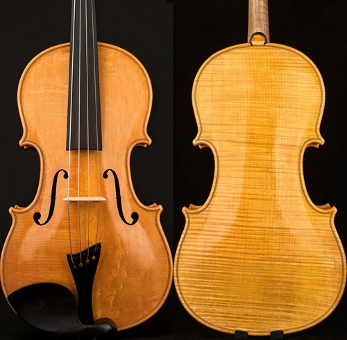 T31 master strad 1715 - 1715, copia