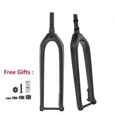 Forcella rigida carbonio boost