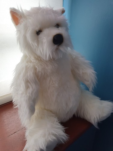 West highland terrier - west,