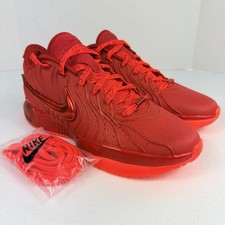 Nike LeBron XXI 21 James Gang