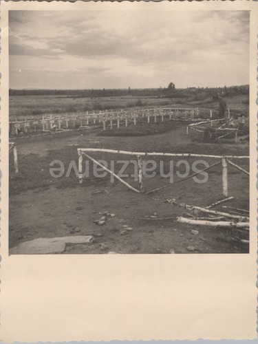 Foto 392 cimitero - 14., 392,