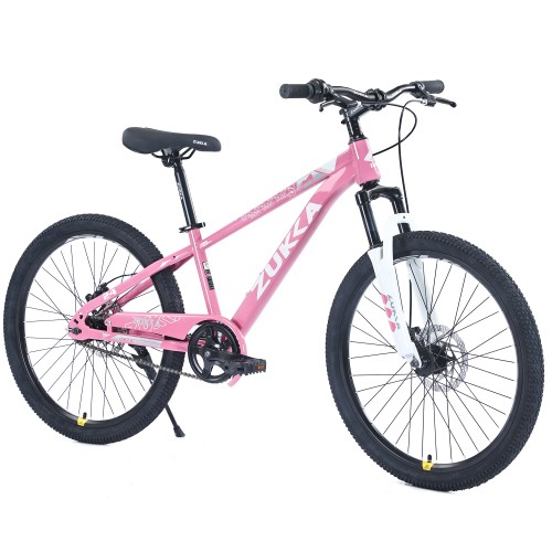 Mountain bike pollici - bike, 24