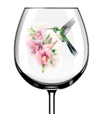 12x Acquerello Rosa Colibrì