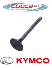 00102681 Valvola Aspirazione