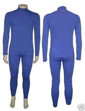 Offerta sottotuta Termica