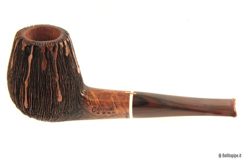 Pipa amorelli - pipa, *