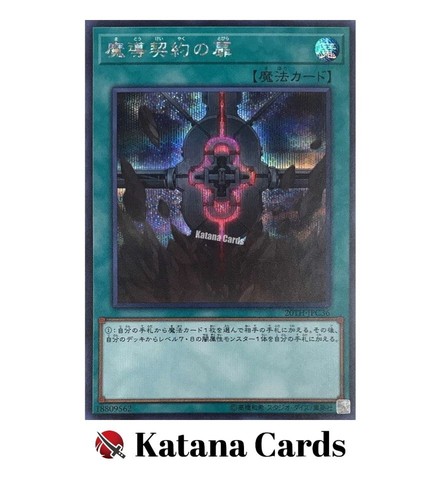 Carte yugioh porta - |, magica