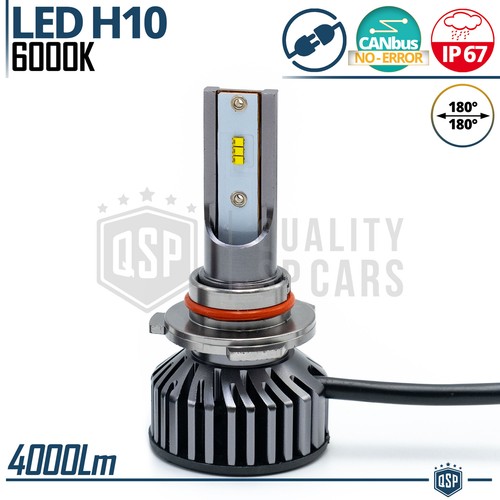 Lampadina full led h10 - lampadina,