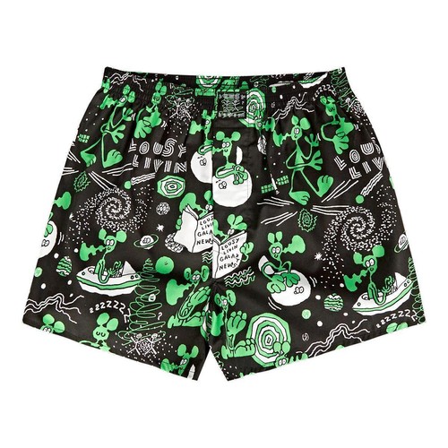 Boxer lousy livin outer - boxer,