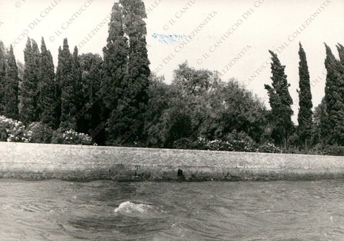 1967 giudecca giardino - 1967,