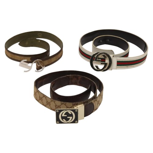 Gucci canvas web - gucci, sherry