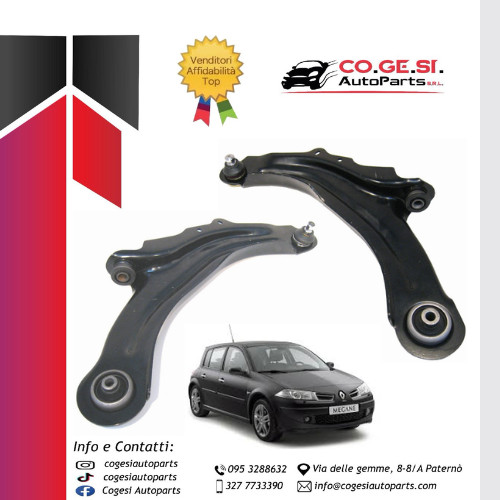 Coppia bracci oscillanti - coppia,