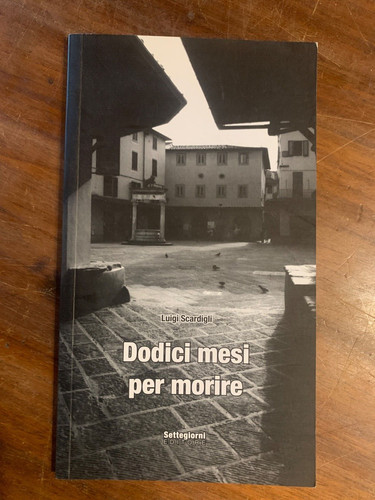 Dodici mesi per - , luigi