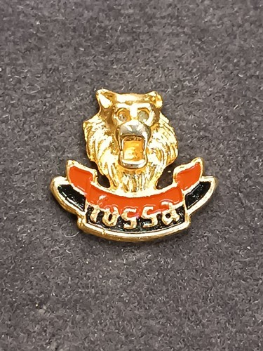 Old pins pin badge spilla - pin,
