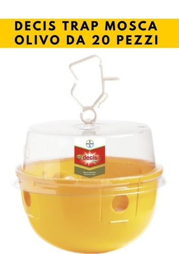 Decis trap olivo - trap,