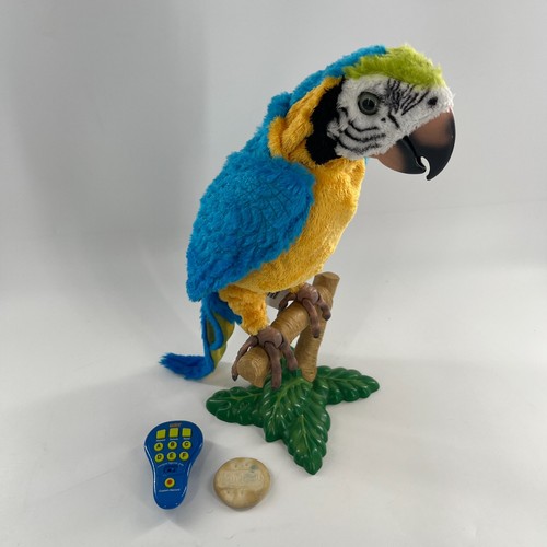 Squawkers mccaw pappagallo - squawkers,
