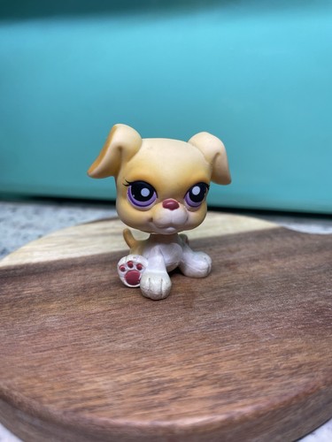 Hasbro littlest pet shop - hasbro,