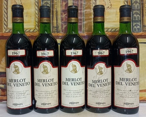 Vino 1967 merlot del - merlot, veneto