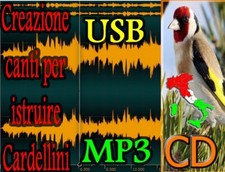 Servizio crezione canti del - servizio,