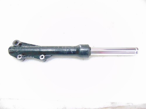 Stelo sinistro forcella
