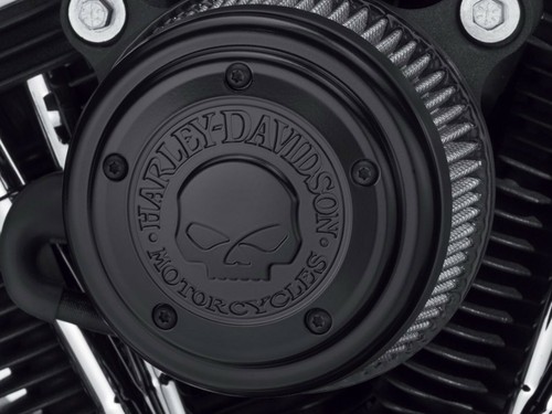Harley davidson black willie - willie, g