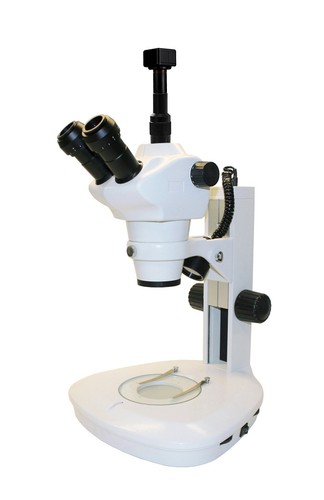 Microscopio trinoculare zoom