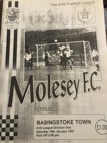 Molesey basingstoke town - molesey,