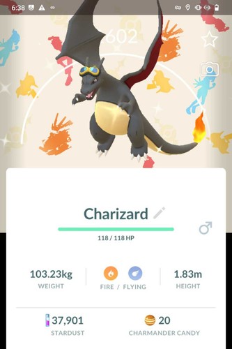 Pokémon shiny charizard - shiny,