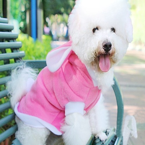 Set costume coniglietto - coniglietto, cane