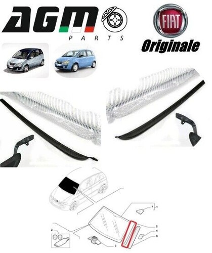 Coppia guarnizioni laterale - , sx