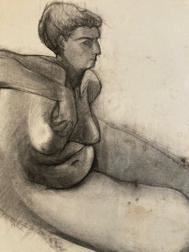 Bella disegno carboncino - disegno,