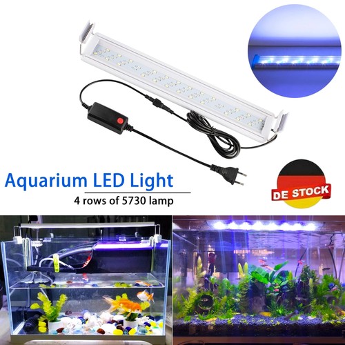 Illuminazione acquario led - illuminazione,