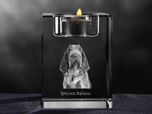 Spinone italiano candelabro - spinone,
