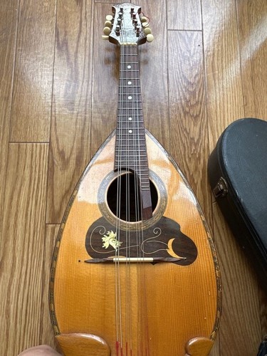 Suzuki violin 228 tund - tund, back