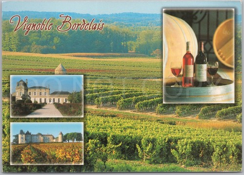 Bordeaux gironde vineyard - bordeaux,