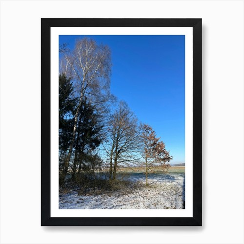 Paesaggio invernale stampa - paesaggio,
