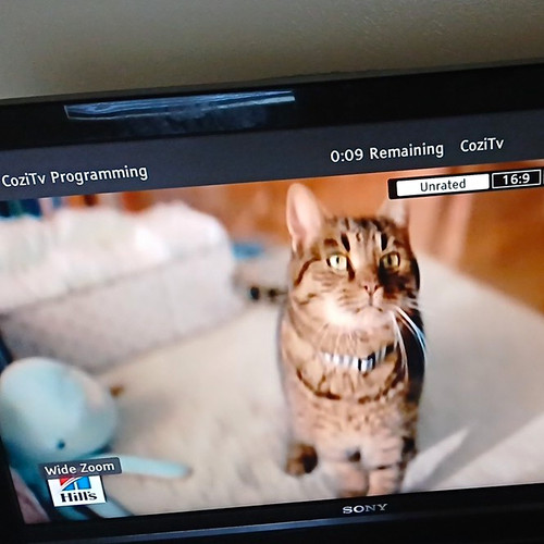 Sony bravia lcd - sony,