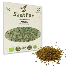 Germogli erba medica - di,