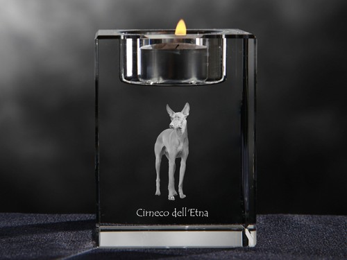 Cirneco dell etna candelabro - dell'etna,,