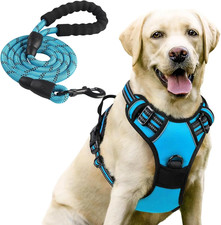 Pettorina Cane Taglia Media