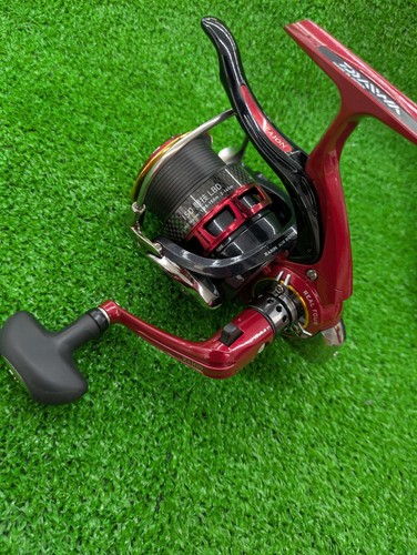 Daiwa torneo iso - 12,