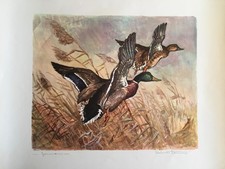 ROBERTO LEMMI - STAMPA