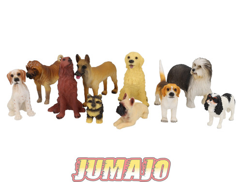 Lc10 lot chiens - lot, 6