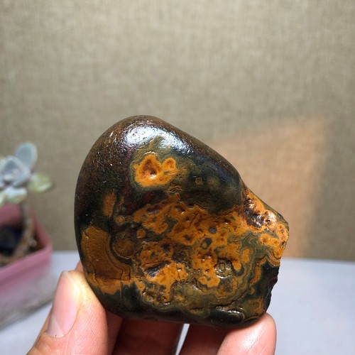 Bonsai naturale 69g - , suiseki