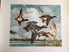 ROBERTO LEMMI - STAMPA