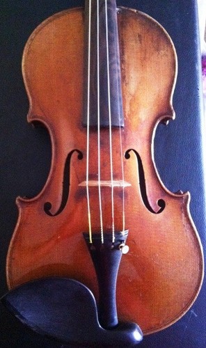 Violino con etichetta armando