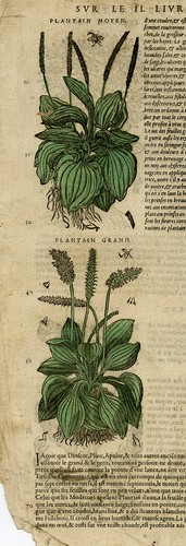 Stampa