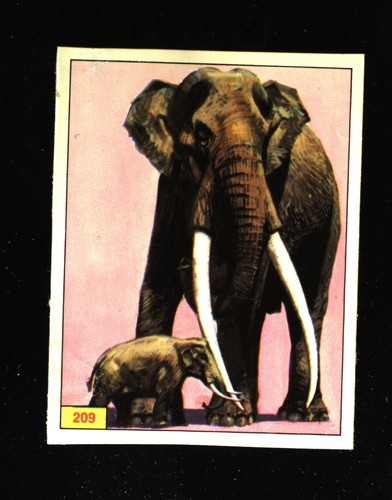 Animali preistorici - animali, (1974)