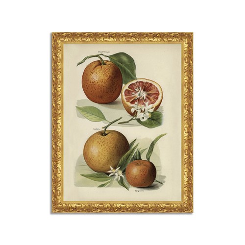 Quadro stampa tela - quadro, effetto